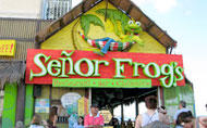 Nassau Restaurants