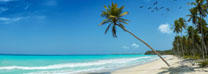 Spring Break Beaches