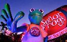 Senor Frogs - Cancun Mexico- Spring Break