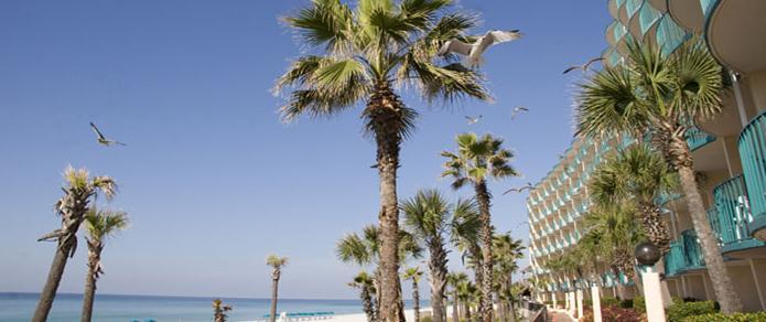 Paradise Palms Inn in Panama City Beach, FL