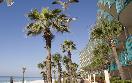 Paradise Palms Seaside Inn - Panama City Beach, FL