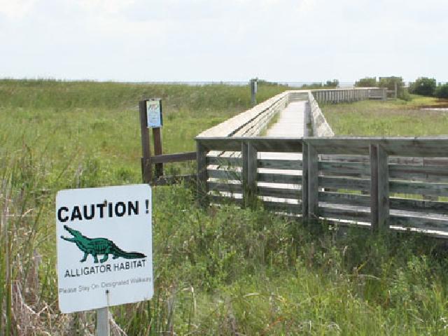 South Padre, USA - Hotels South Padre, USA - Hotels