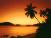 Spring Break Acapulco