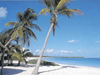 Cancun Beaches
