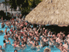 LaPalapa Pool Party