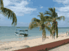 Montego Bay Spring Break