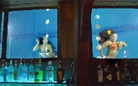 B Ocean Wreck Bar B Ocean Wreck Bar