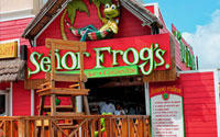 Spring Break Cruises, Bahamas - Senor Frogs Nassau