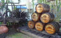 Puerto Plata, Dominican Republic - Brugal Rum 