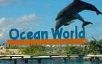 Puerto Plata, Dominican Republic - Ocean World 