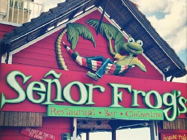 Party at Senor Frogs Beach Club