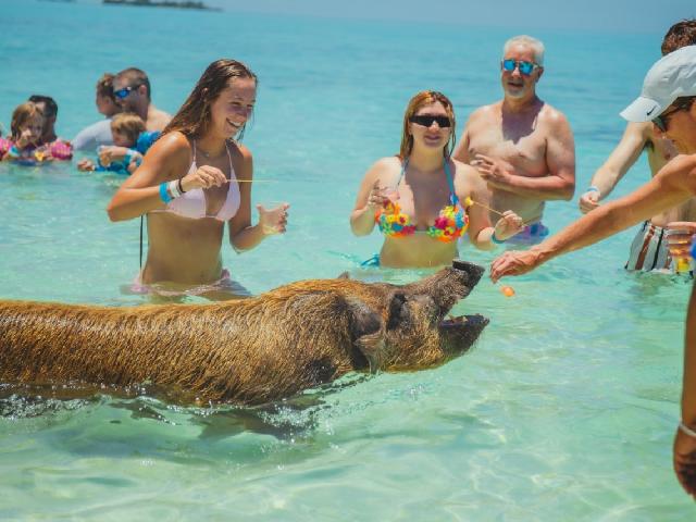 Spring Break Sand Dollar Island Adventure - Nassau, Bahamas
