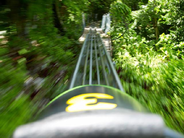 Spring Break Jamaica Bobsledding - Ocho Rios, Jamaica