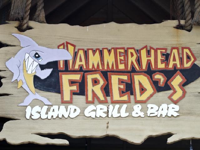 Panama City, USA - Hammerhead Freds