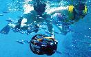 Cabo -snorkel and sea adventure- Spring Break
