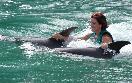 Ocho Rios-Dolphin Cove- Spring Break